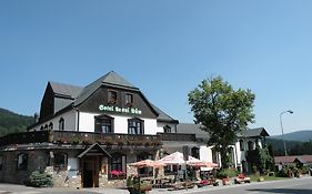 Hotel Lesni Dum