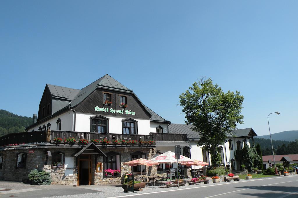 Hotel Lesni Dum Jańskie Łaźnie Zewnętrze zdjęcie